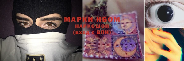 индика Абаза