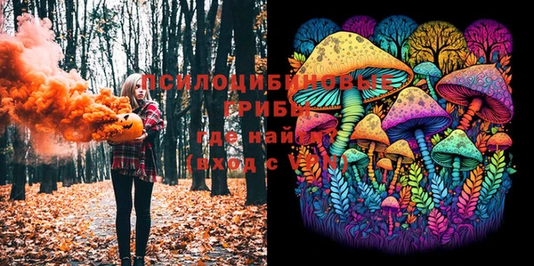 тгк Абинск