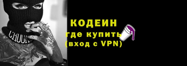 индика Абаза