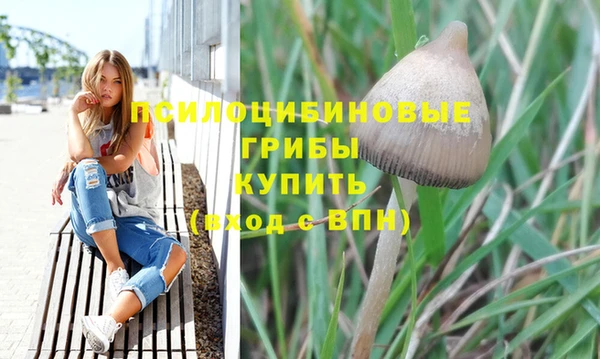 тгк Абинск