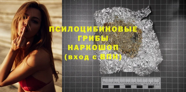 индика Абаза