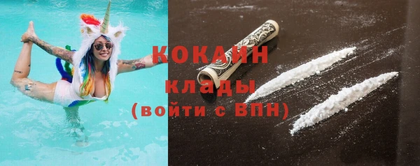 индика Абаза