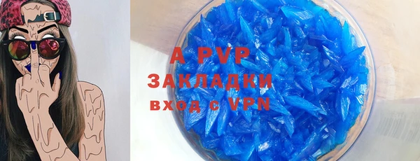 индика Абаза