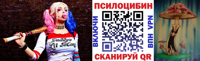 Псилоцибиновые грибы Psilocybe  Фурманов 