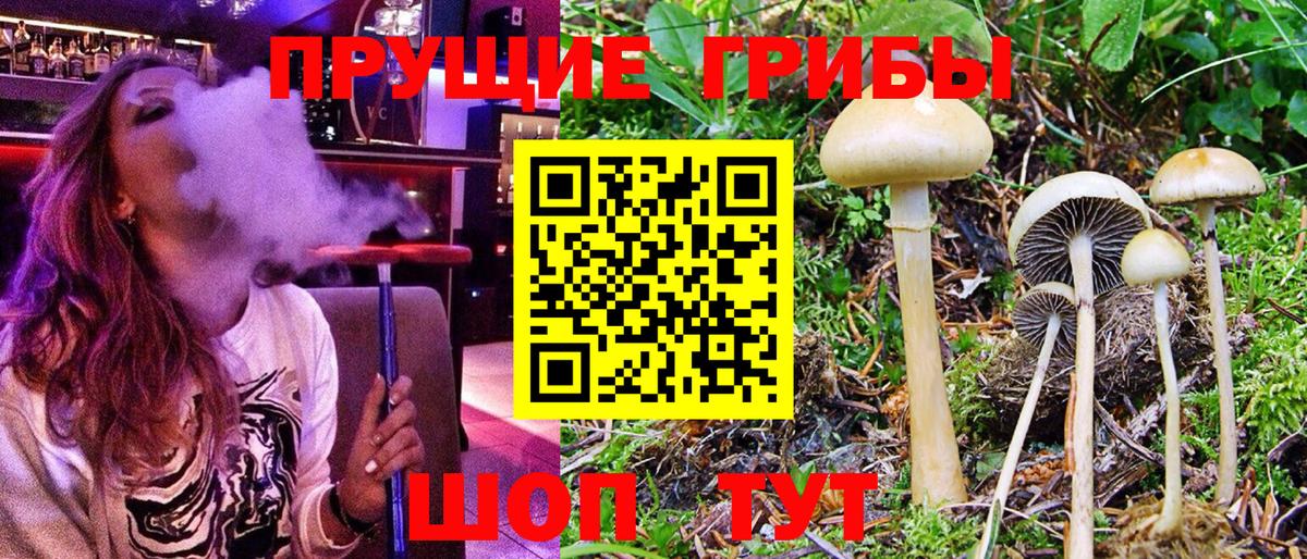 Фурманов  Галлюциногенные грибы Psilocybe  купить наркоту  Вход с VPN 