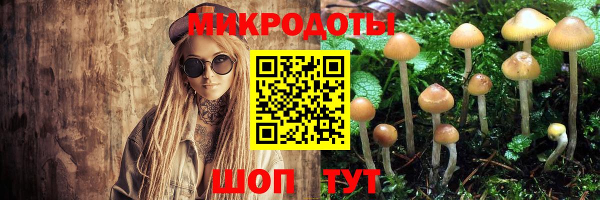 Галлюциногенные грибы мицелий Фурманов